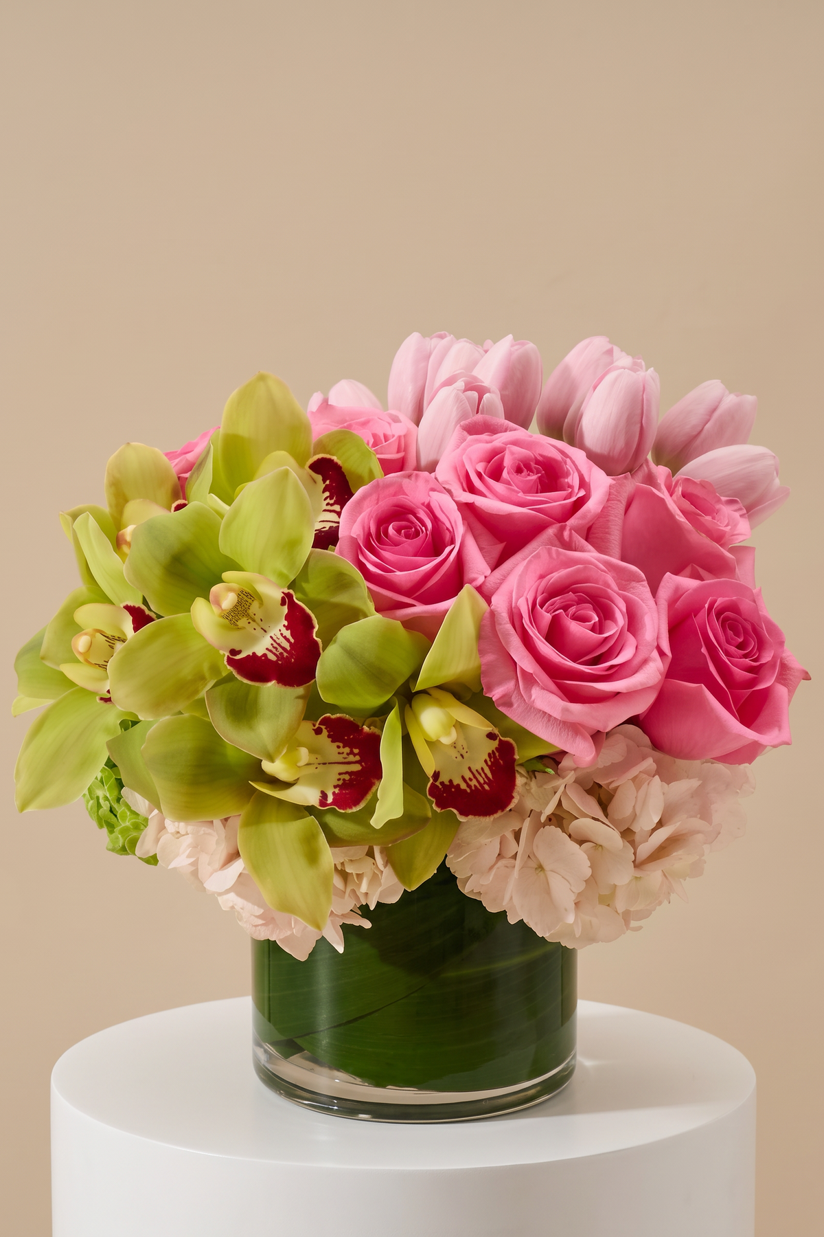 Camellia Green