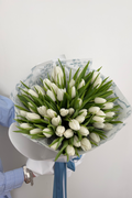 White Tulips