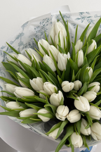 White Tulips