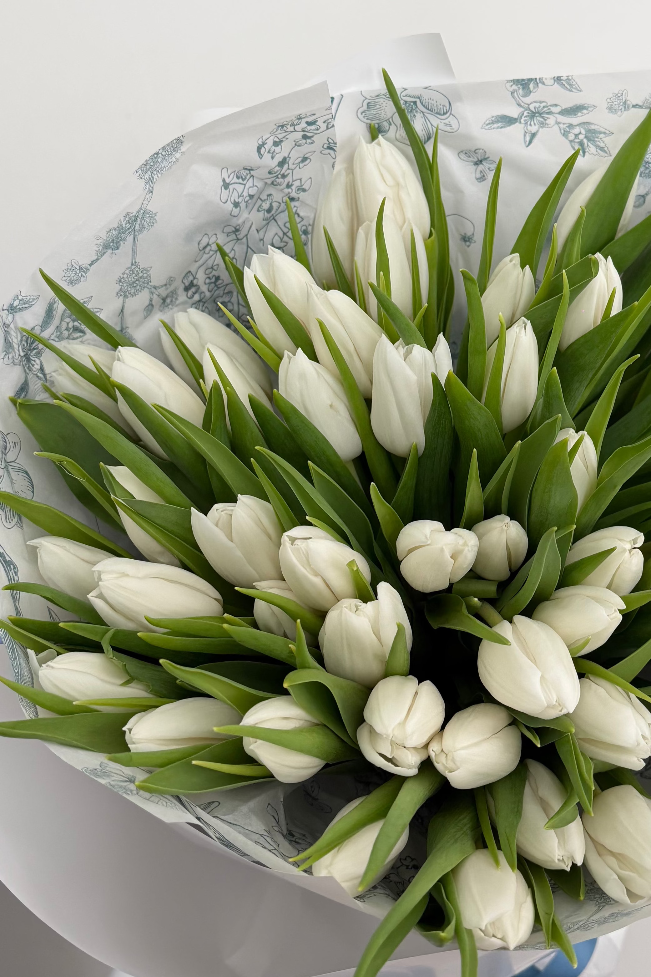 White Tulips