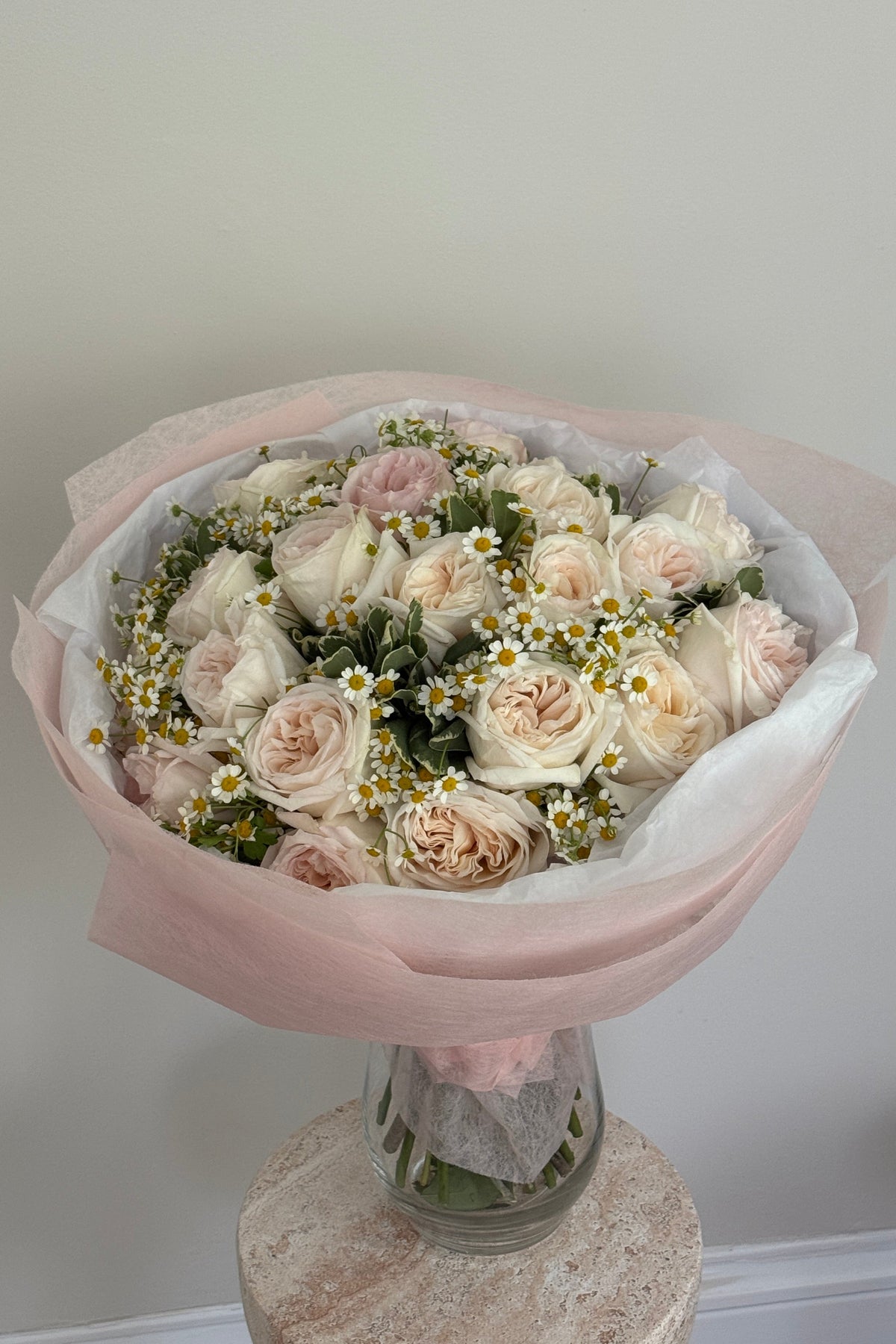 Soft Roses