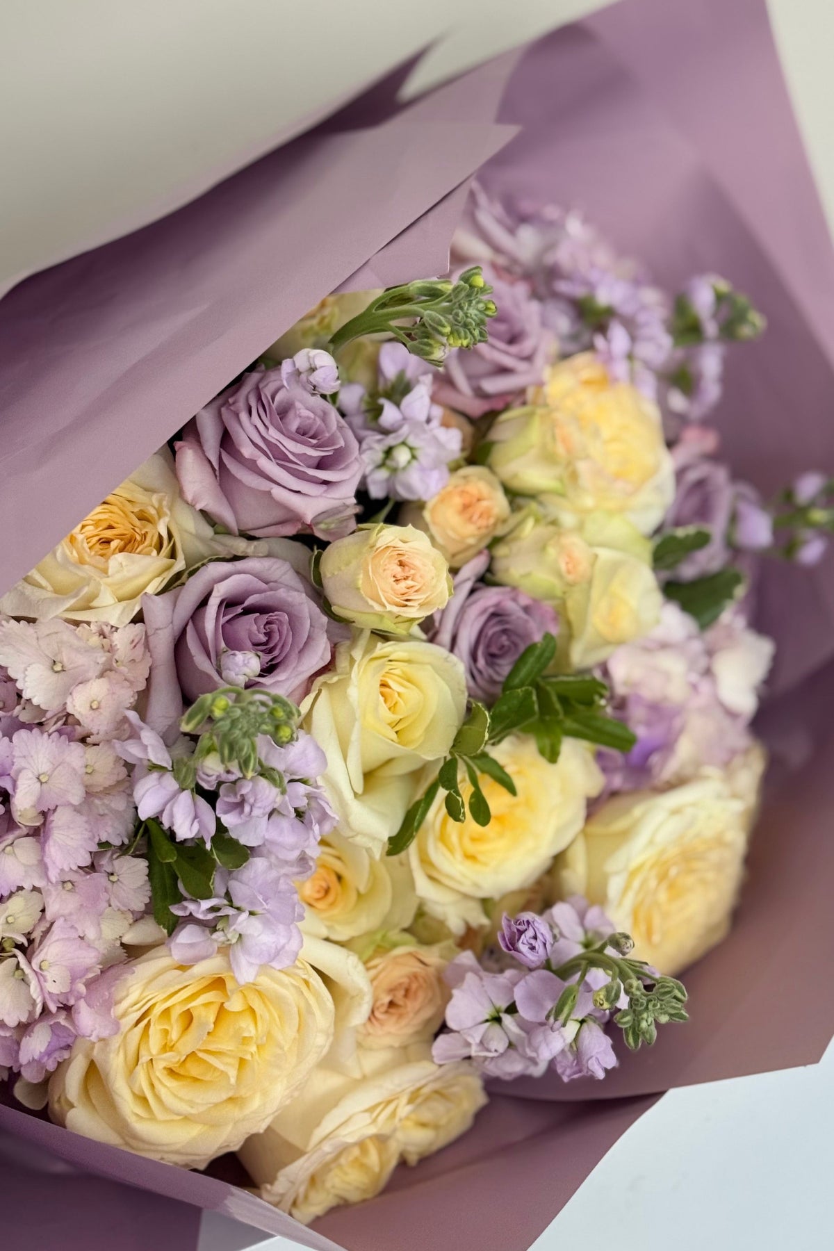 Lilac Daydream
