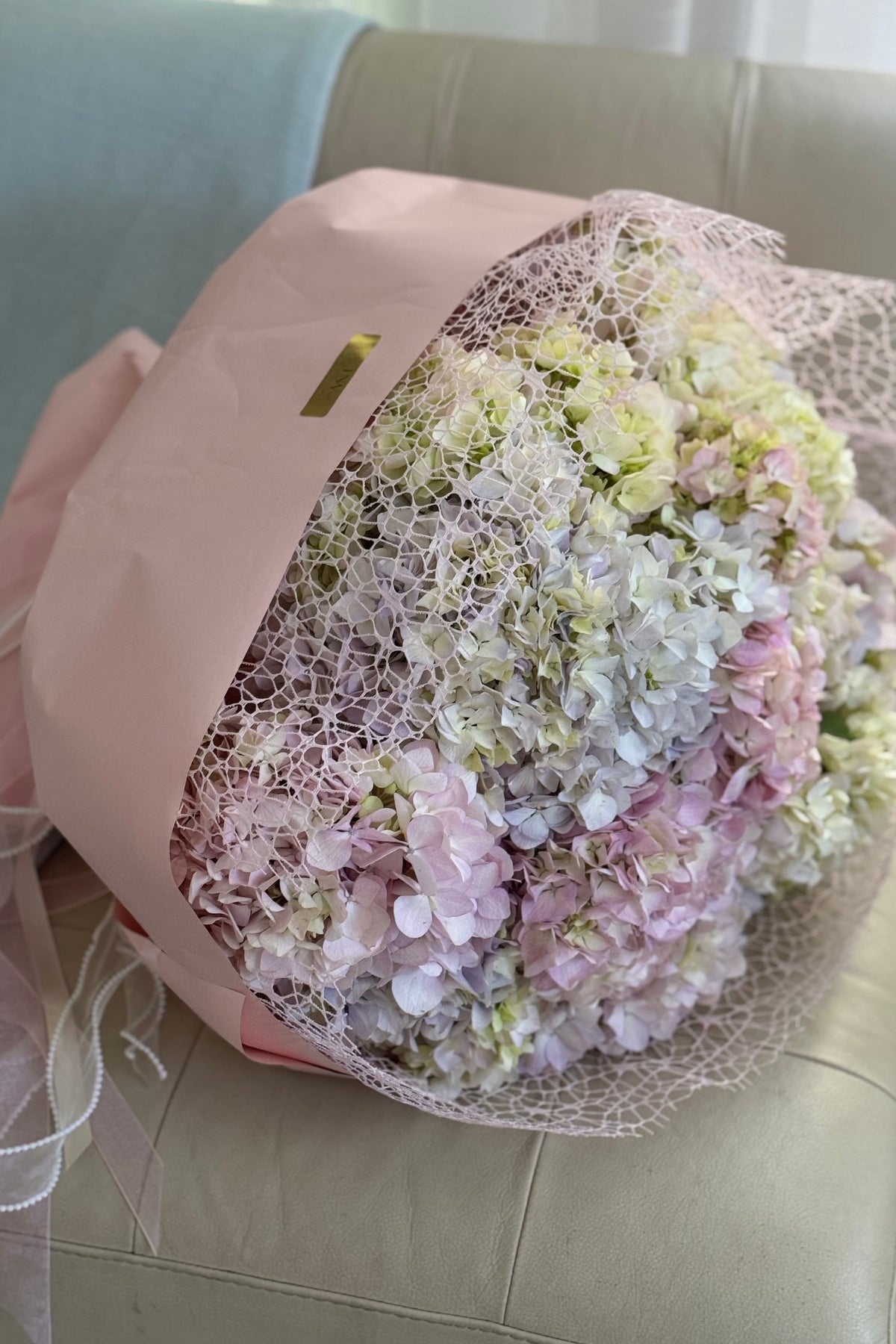 Pink Hydrangea