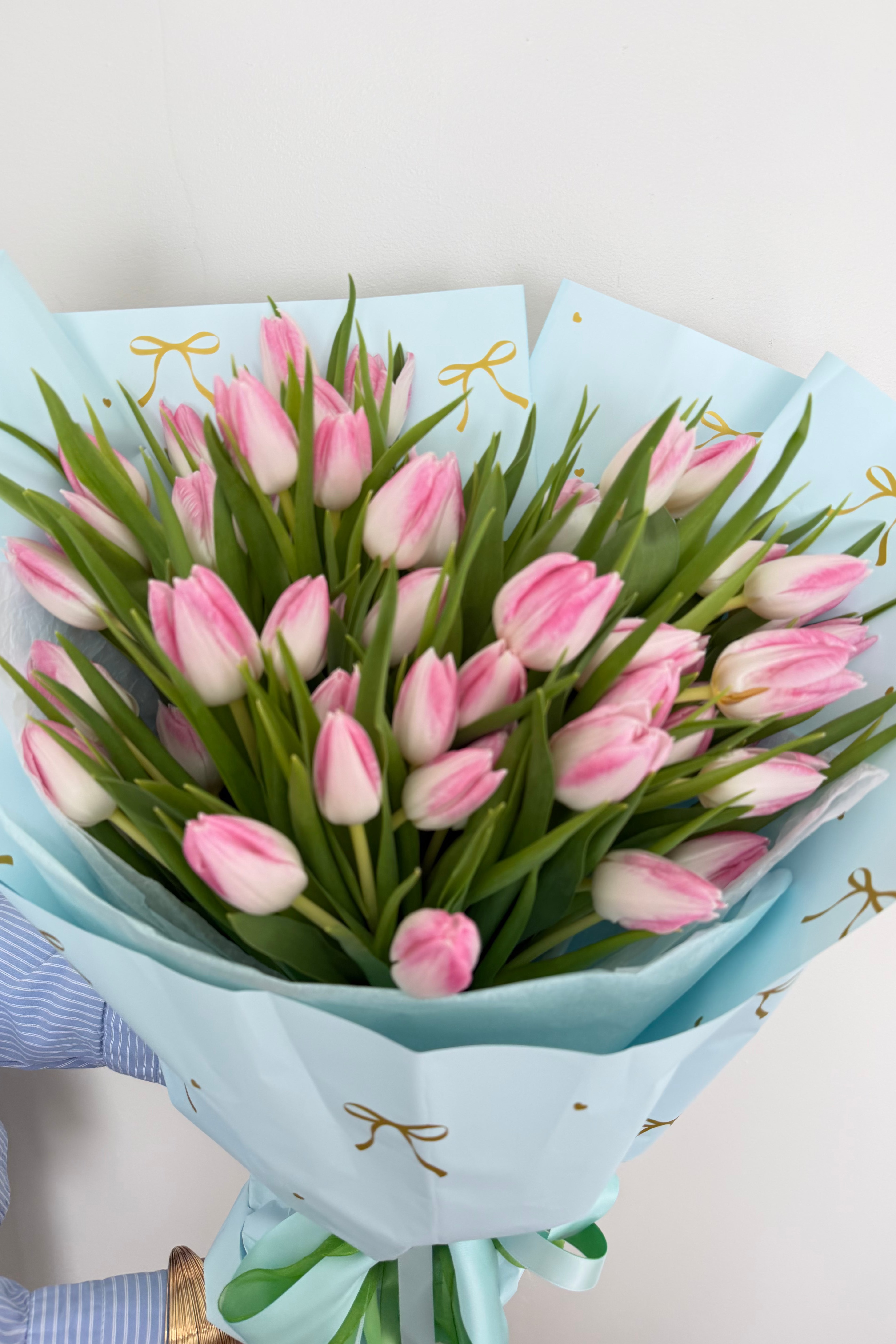 Blush Pink Tulips