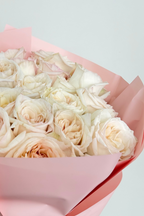 The Fragrant O'Hara Garden Rose