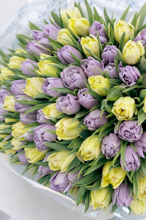 Two-Tone Peony Tulips