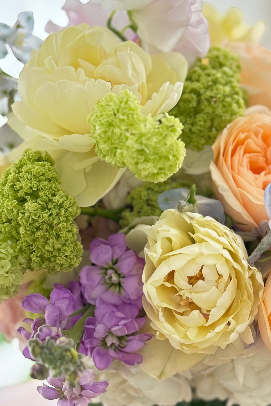 Spring Garden Deluxe