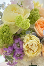 Spring Garden Deluxe