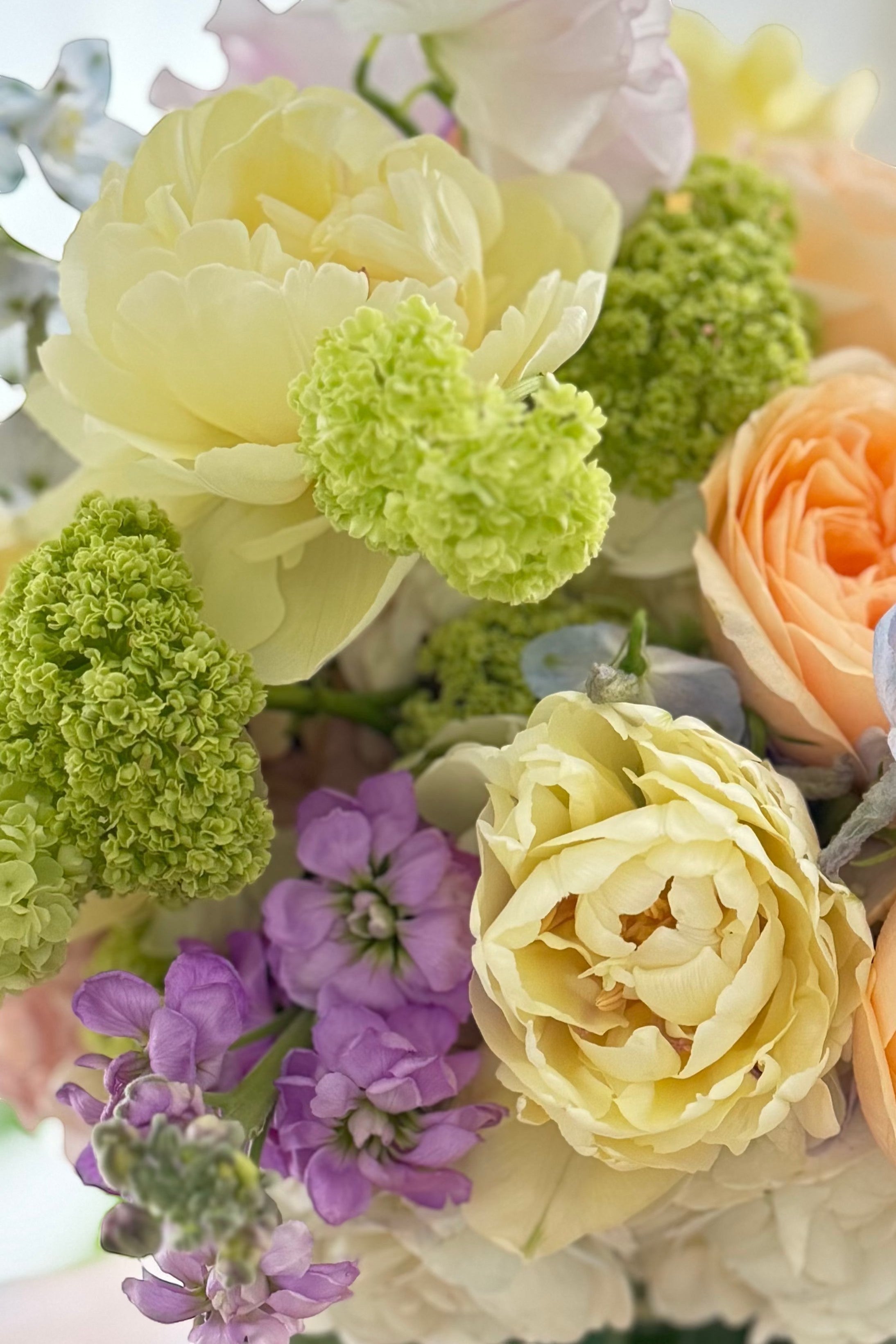 Spring Garden Deluxe
