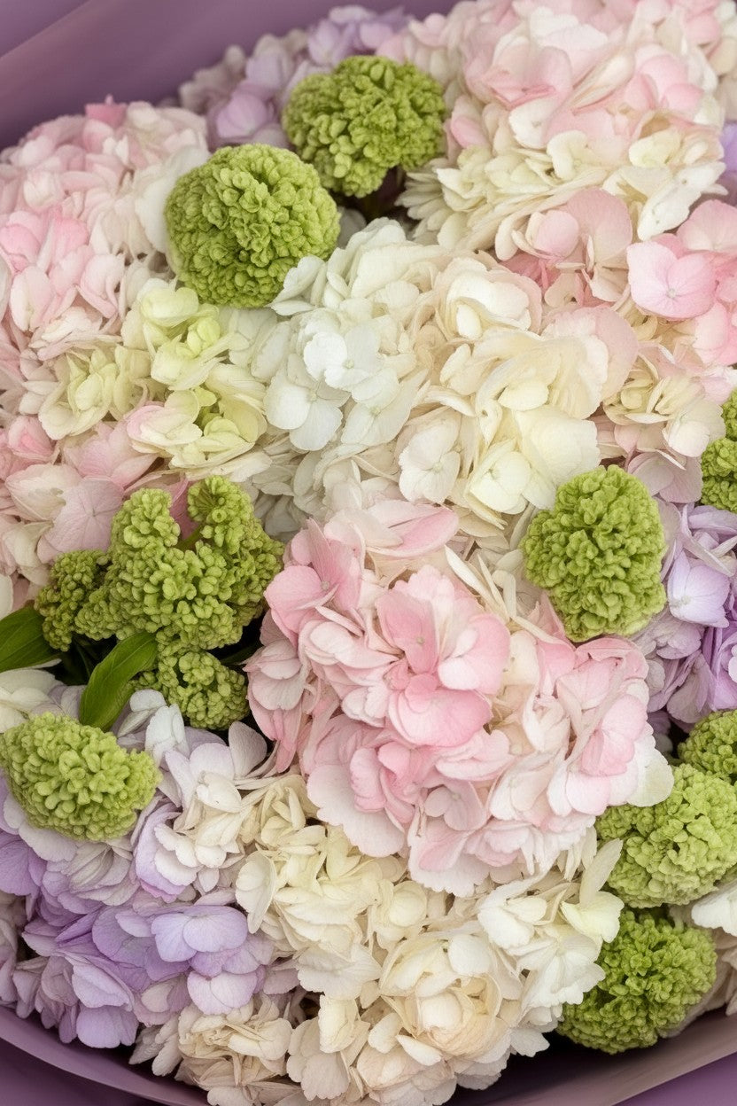 IN𝓃 Floral Studio mixed hydrangea bouquet in pastel pink, lavender, ivory, and blush with green viburnum accents. Size M.