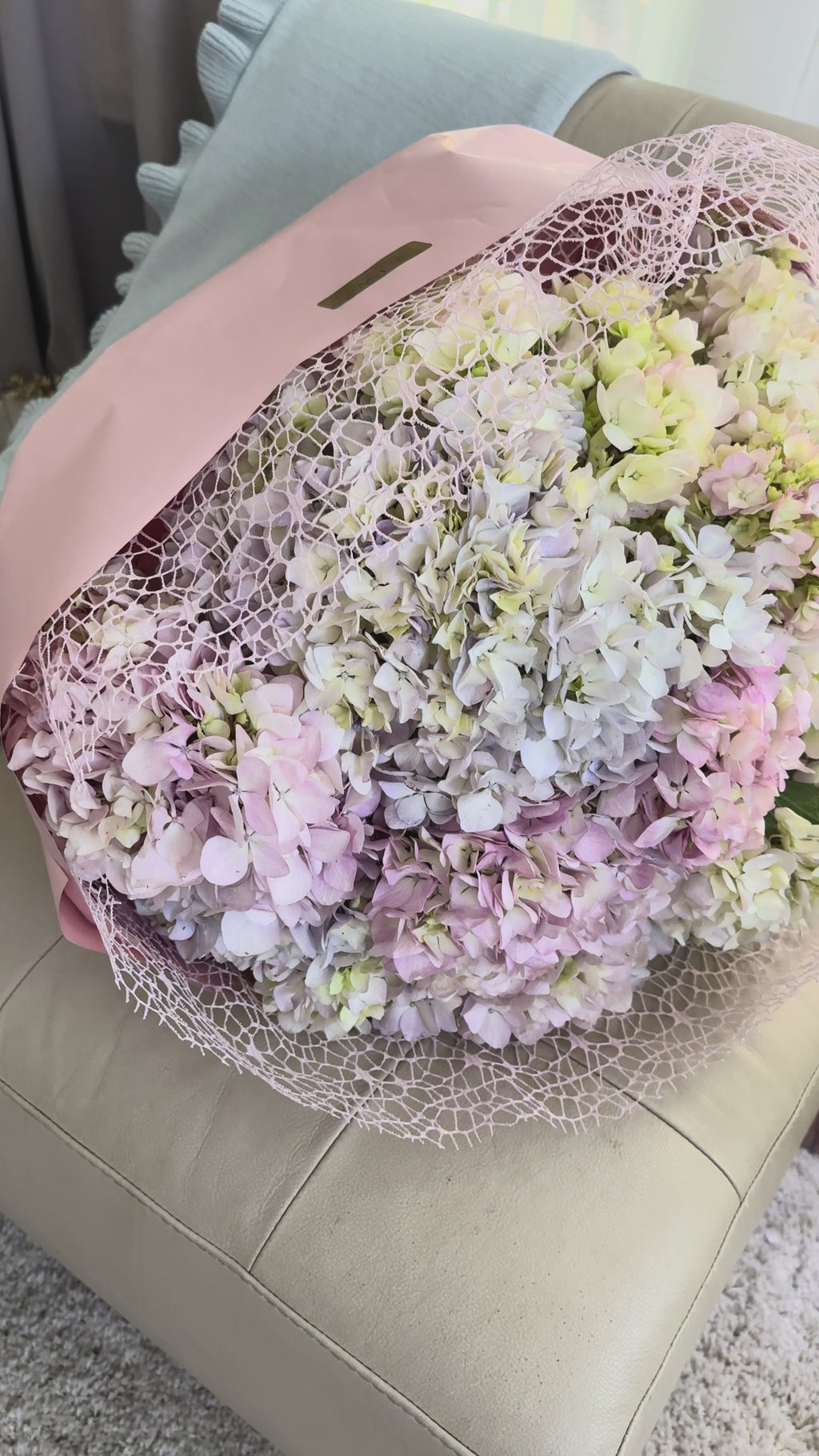 Pink Hydrangea