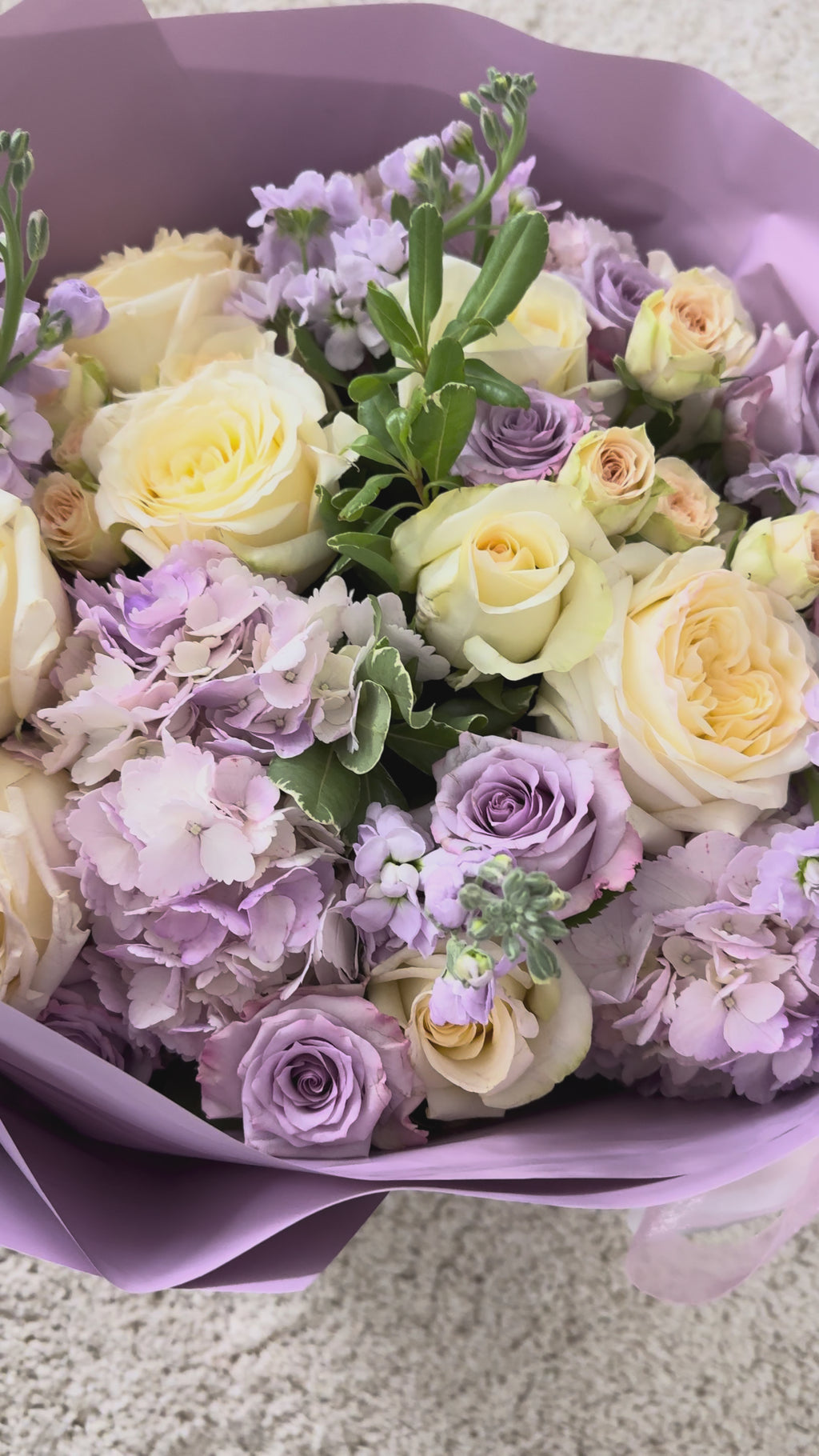 Lilac Daydream